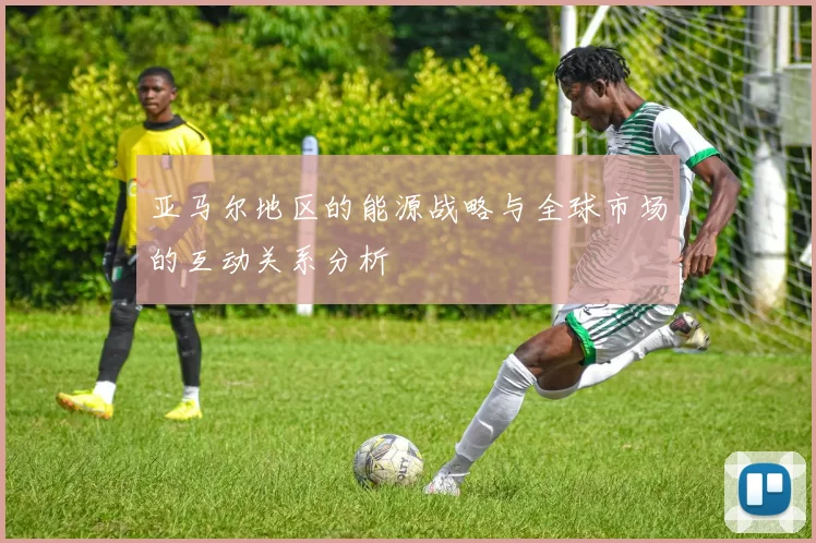 亚马尔地区的能源战略与全球市场的互动关系分析