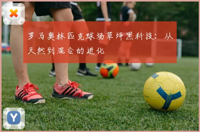 罗马奥林匹克球场草坪黑科技：从天然到混合的进化