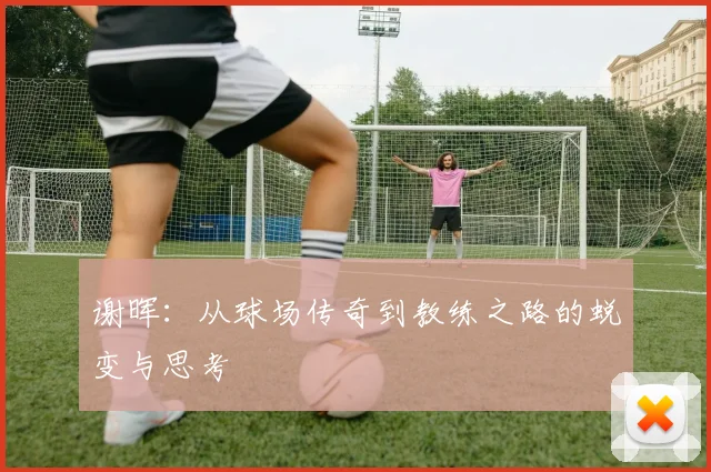 谢晖：从球场传奇到教练之路的蜕变与思考