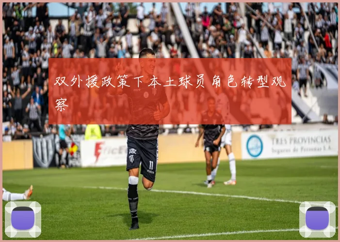 双外援政策下本土球员角色转型观察