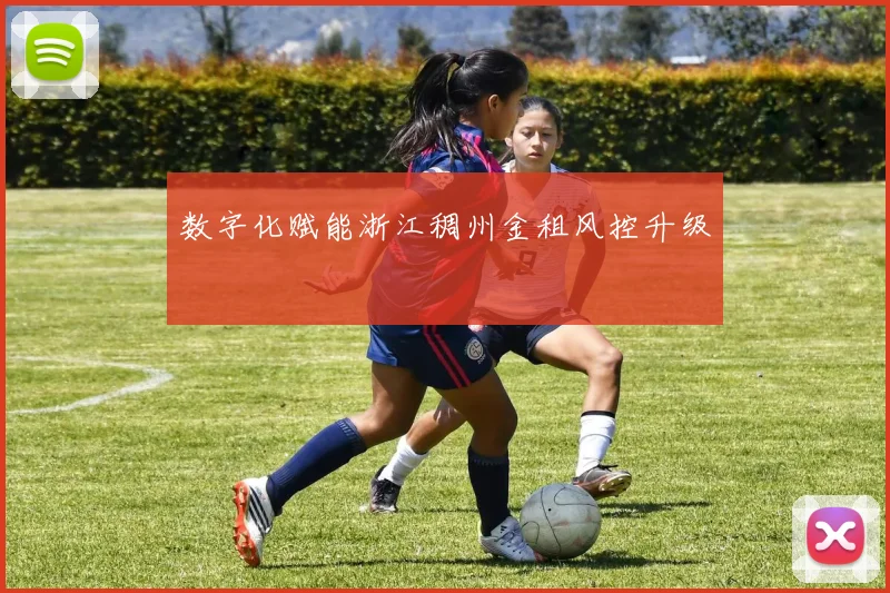 数字化赋能浙江稠州金租风控升级